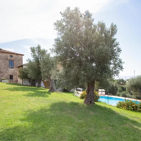 Stunning In Holiday home *