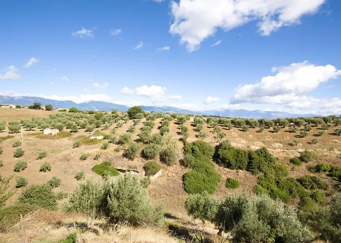 Stunning In בית נופש San Marco Argentano